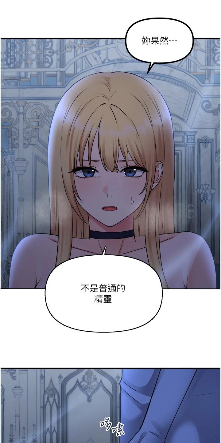 精灵妹子形象漫画,第84章：底细1图