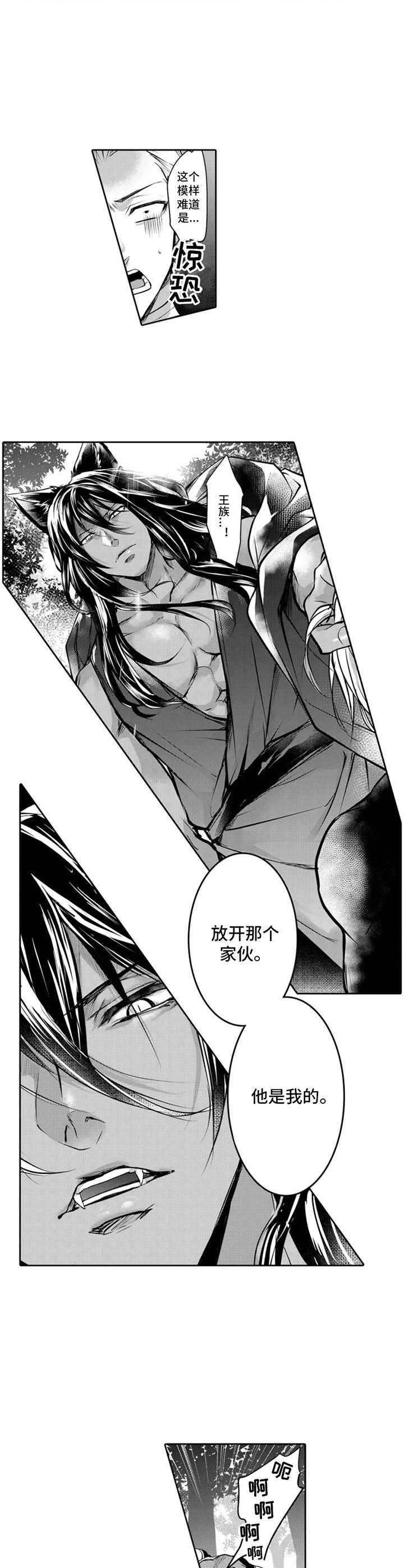 兽王被围攻漫画,第3章：命中伴侣2图