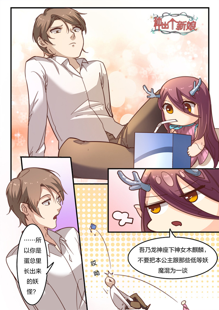 第8章：0