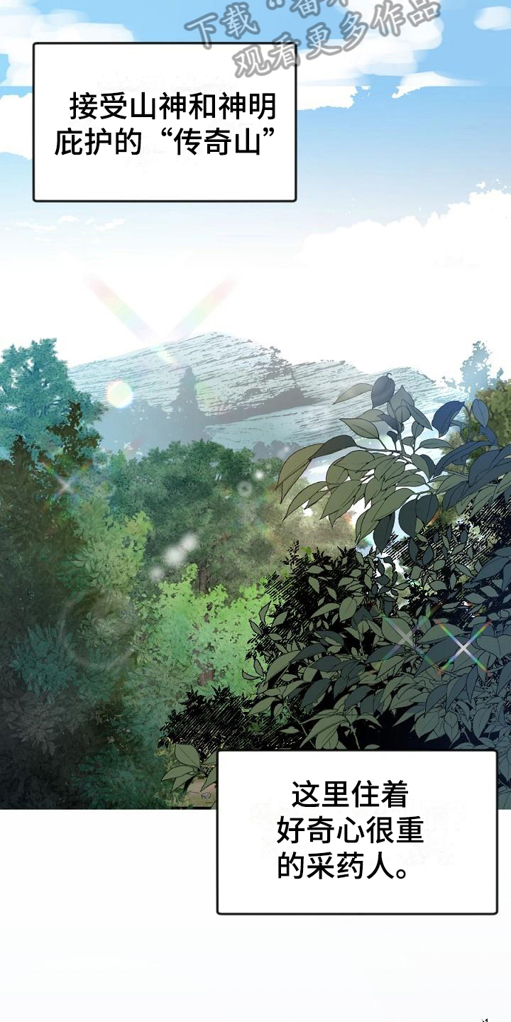 粘糕粽子店铺位置漫画,第17章：用什么报恩呢：山神2图