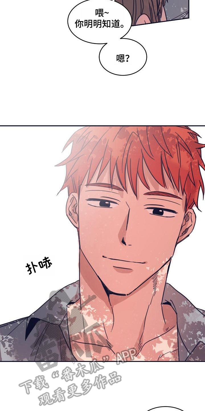 粘糕粽子店铺位置漫画,第10章：躲开太阳的办法：关注5图