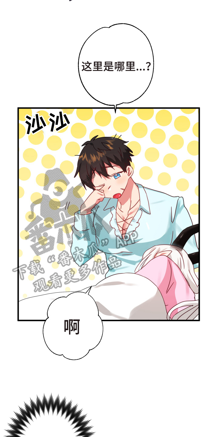 第52章：从胸口开始的骑士精神：抽象画4