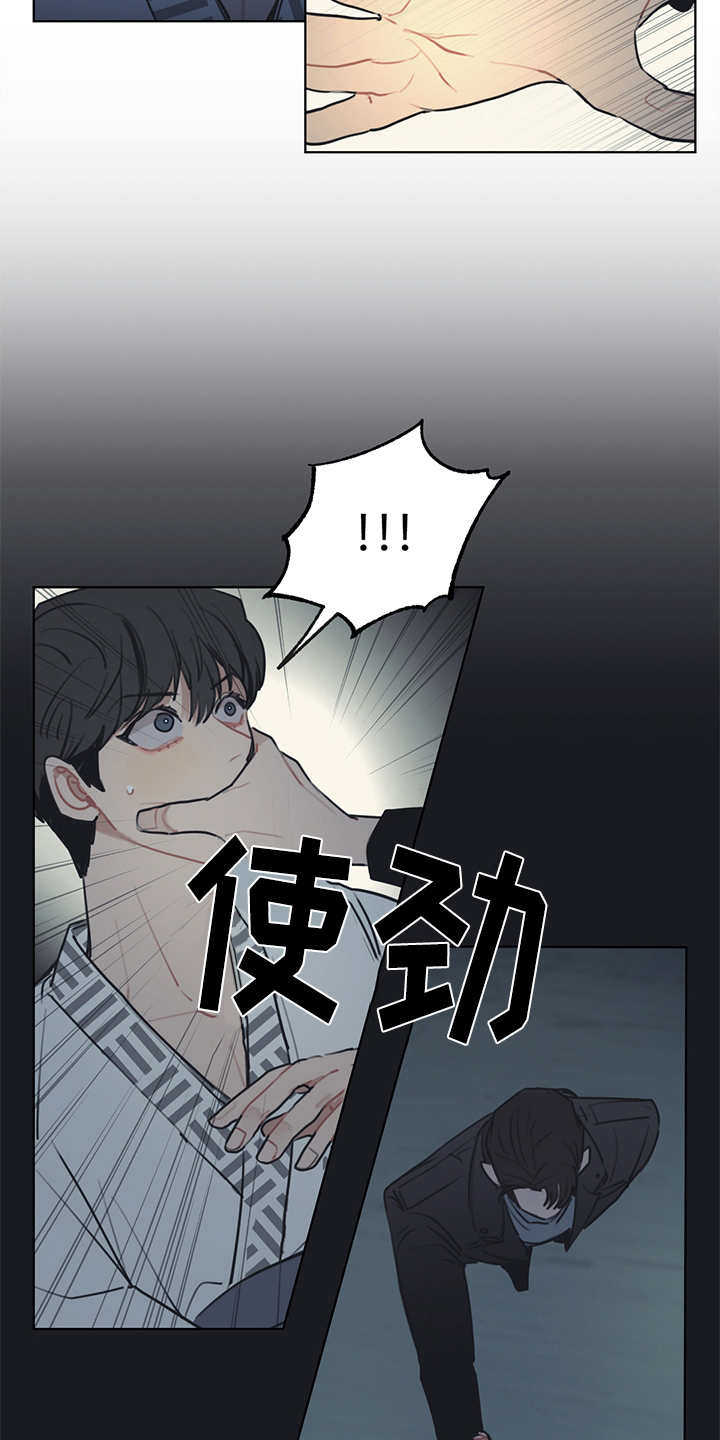 惹祸上身拼音漫画,第52章：双胞胎3图