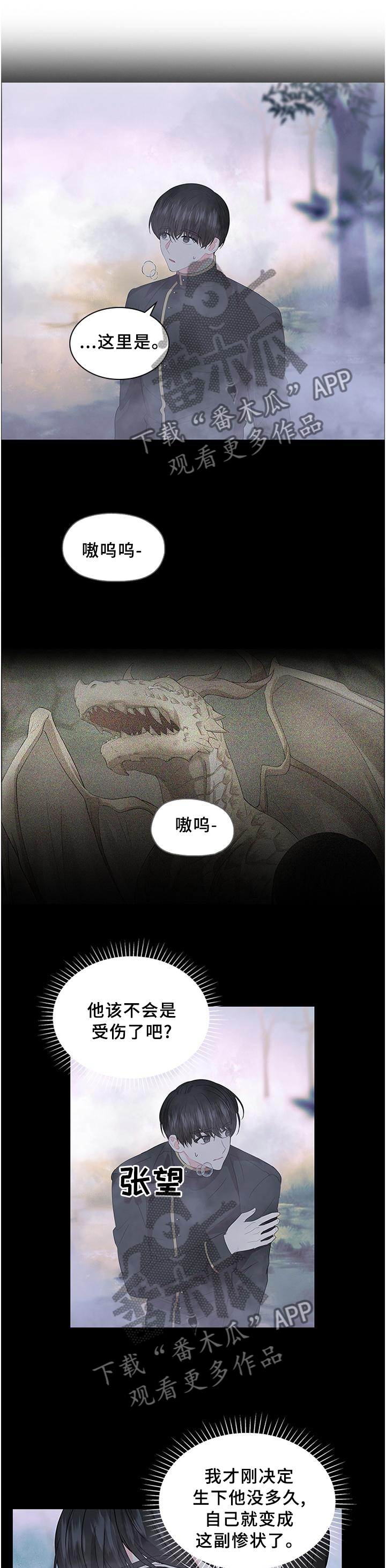 皇室血脉漫画免费观看漫画,第76章：孩子是我的5图