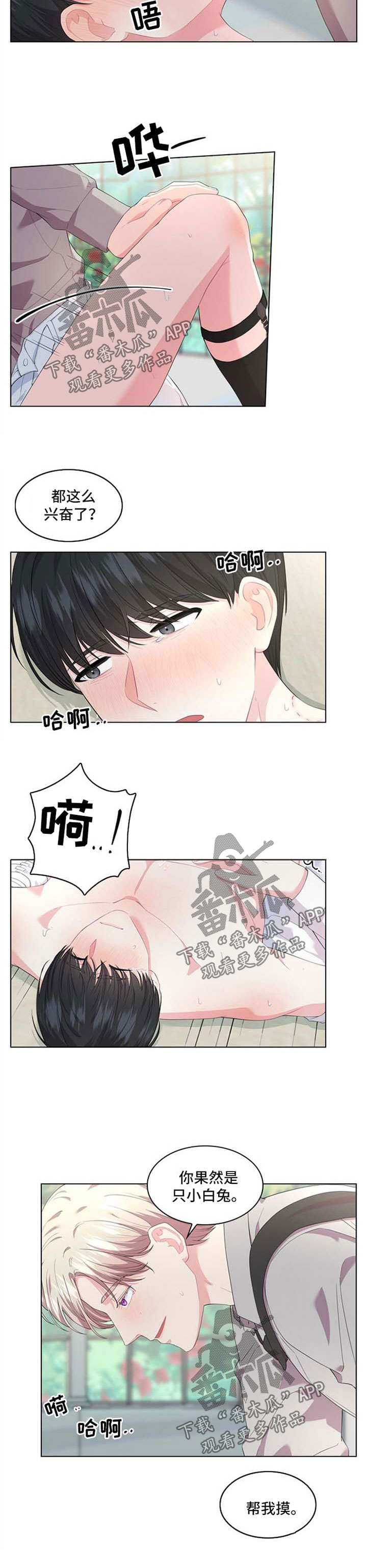 皇室血脉后裔漫画,第29章：迷药2图