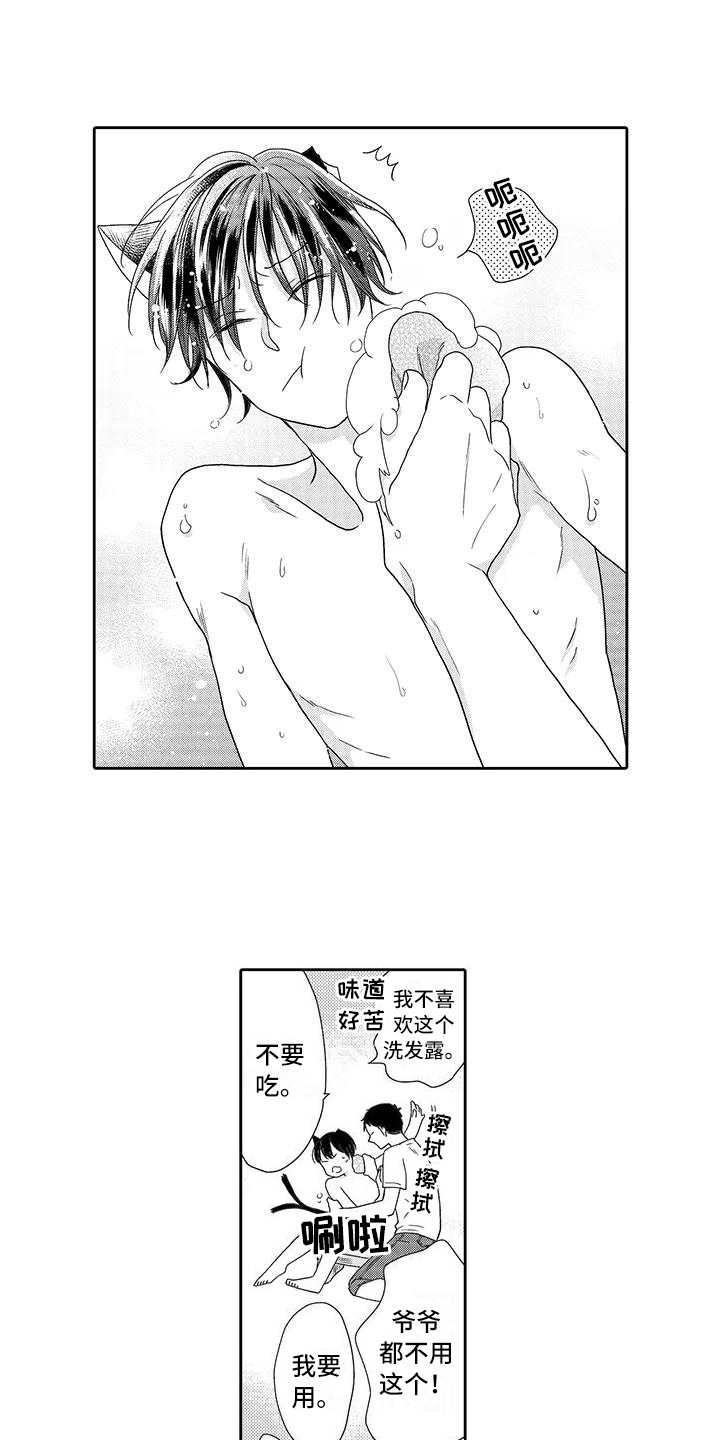 山神是国家保护动物吗漫画,第7章：小精灵1图