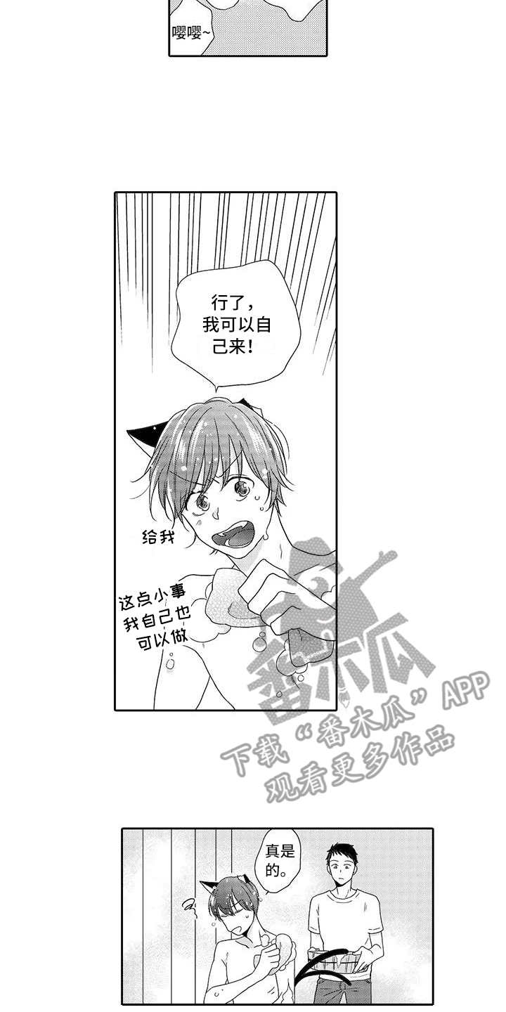 山神是国家保护动物吗漫画,第7章：小精灵2图