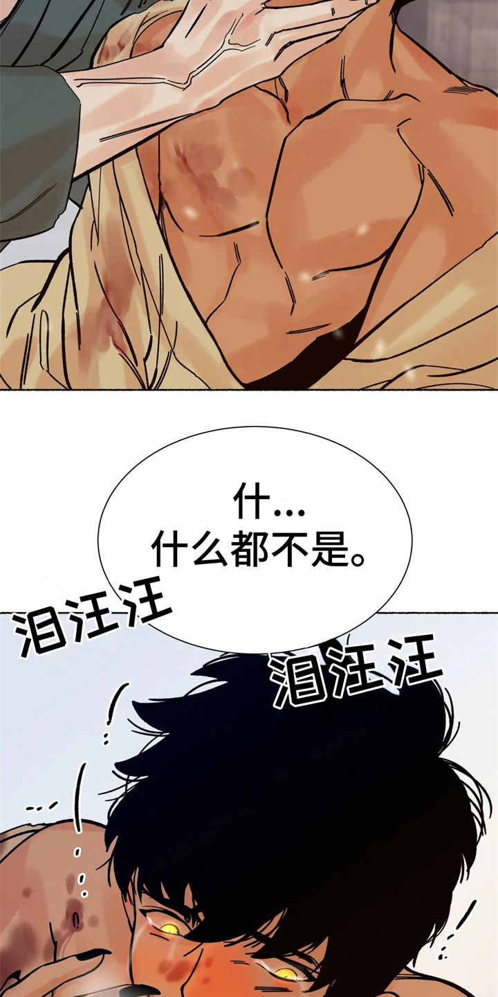 千年胡杨王图片漫画,第9章：目的5图