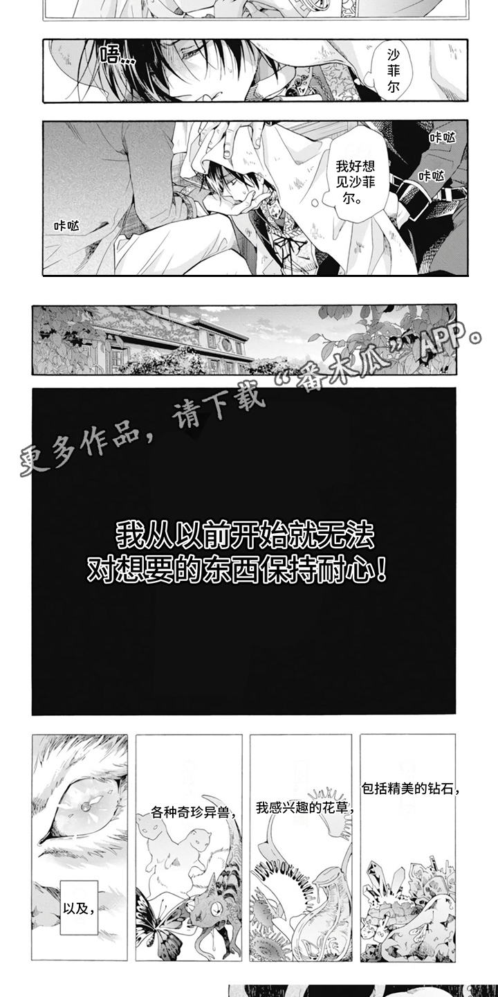 第11章：收藏品4