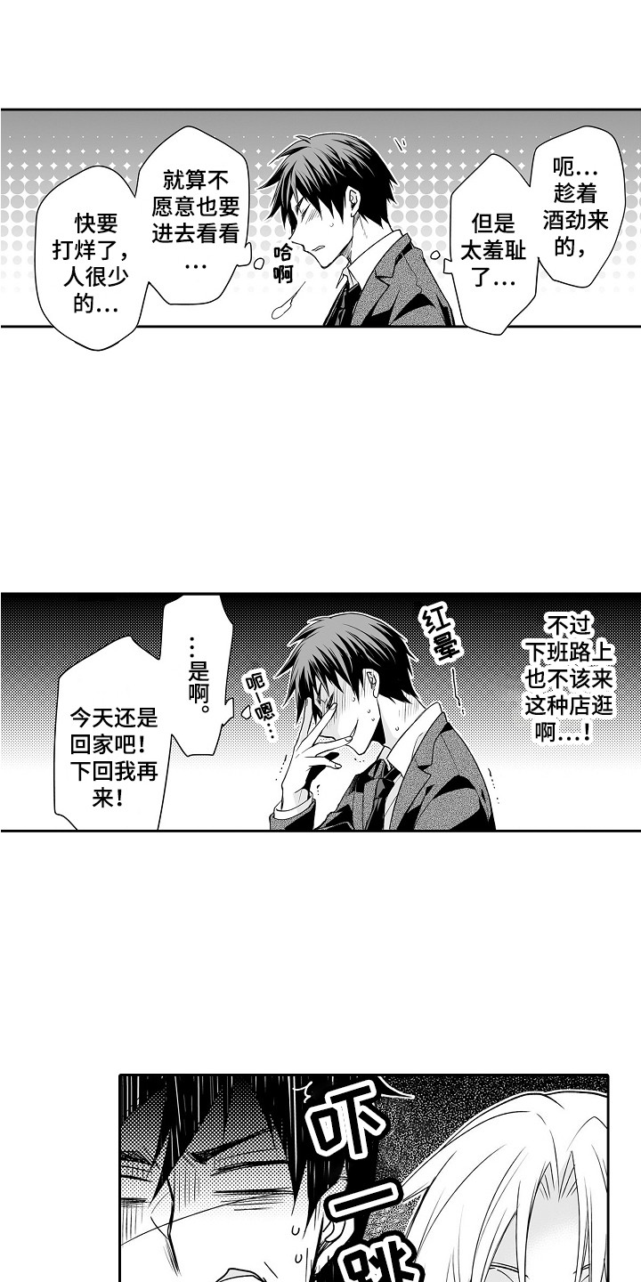 第1章：玩具商店2