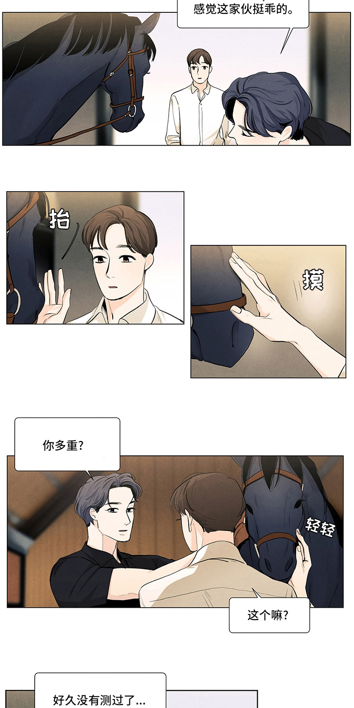 第89章：骑马4