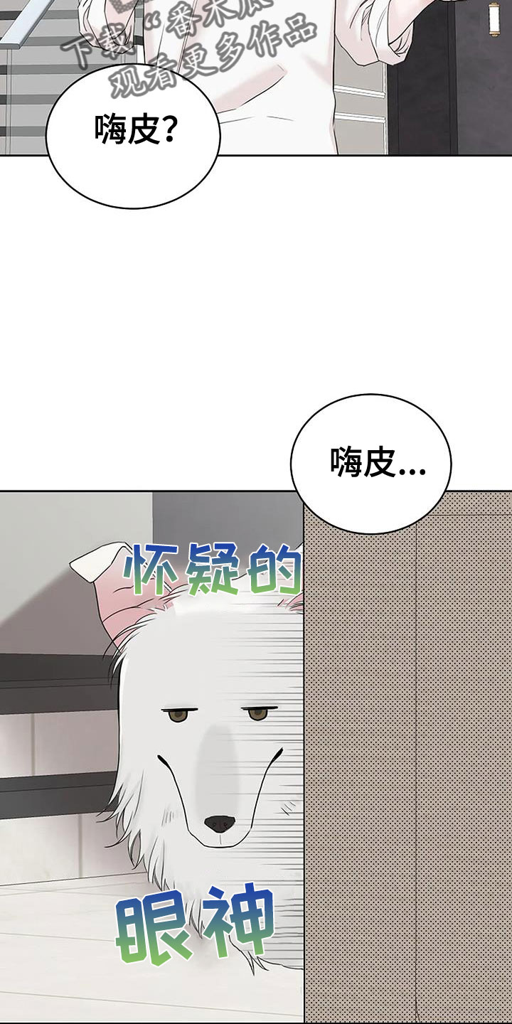 第37章：回来了1