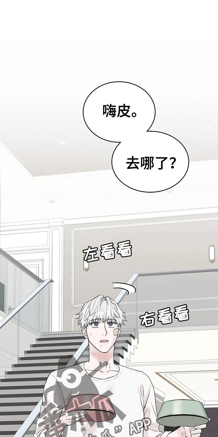 第37章：回来了0
