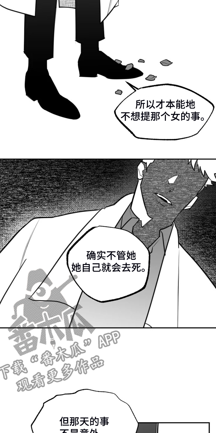 第56章：真真假假3