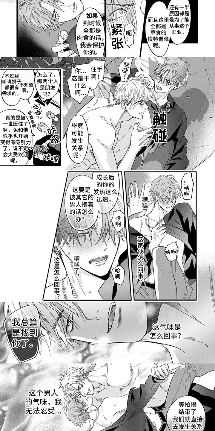 兔子被狮子羞辱原视频漫画,第3章：晕倒3图