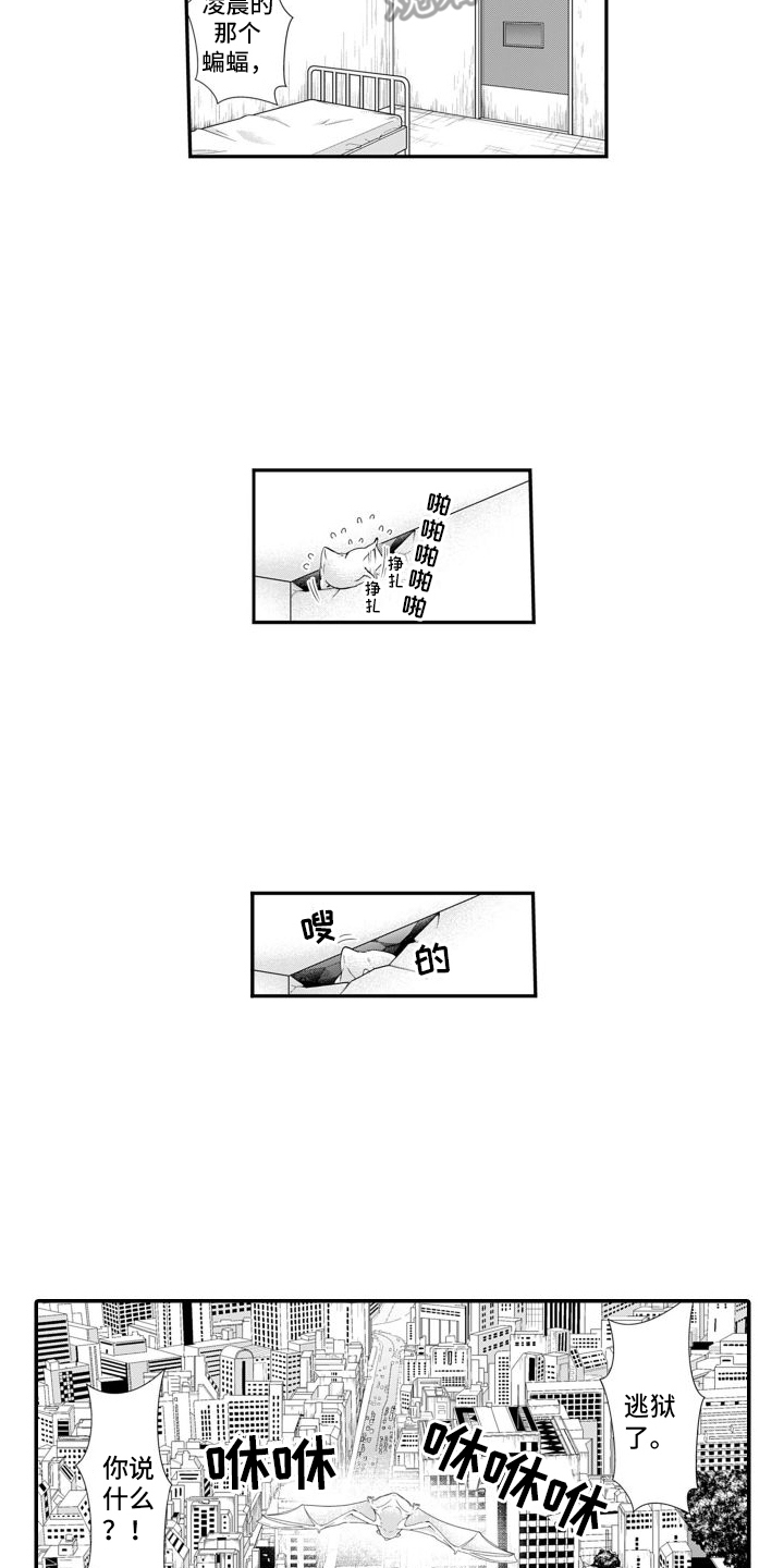 第13章：越狱1