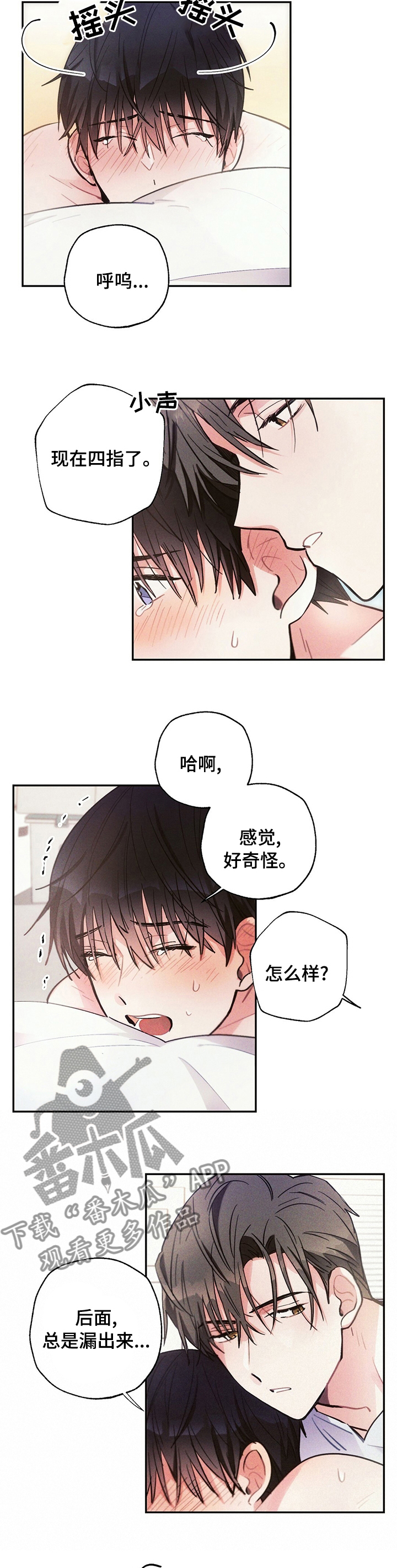 第66章：资本2