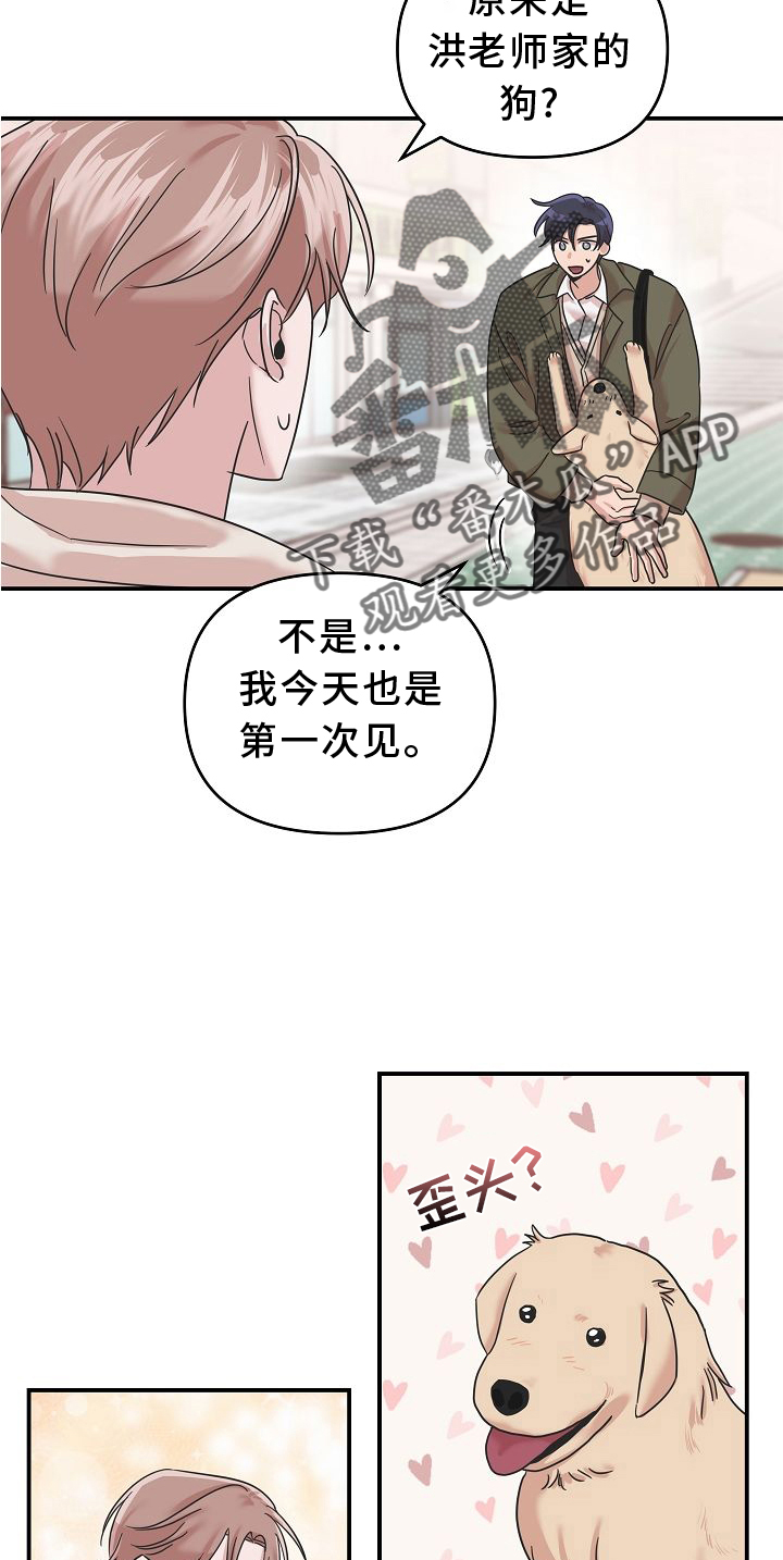 吸血鬼上手难度漫画,第15章：找寻5图