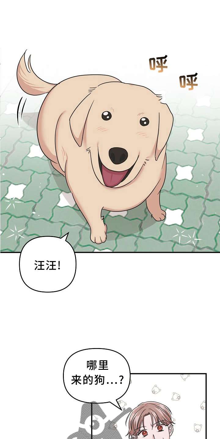 吸血鬼上手难度漫画,第15章：找寻1图