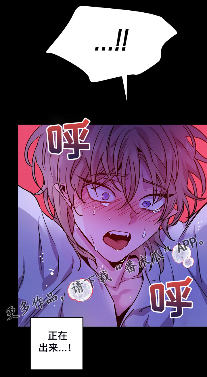 魔王逆谋免费看未删除版漫画,第30章：内加尔大人1图