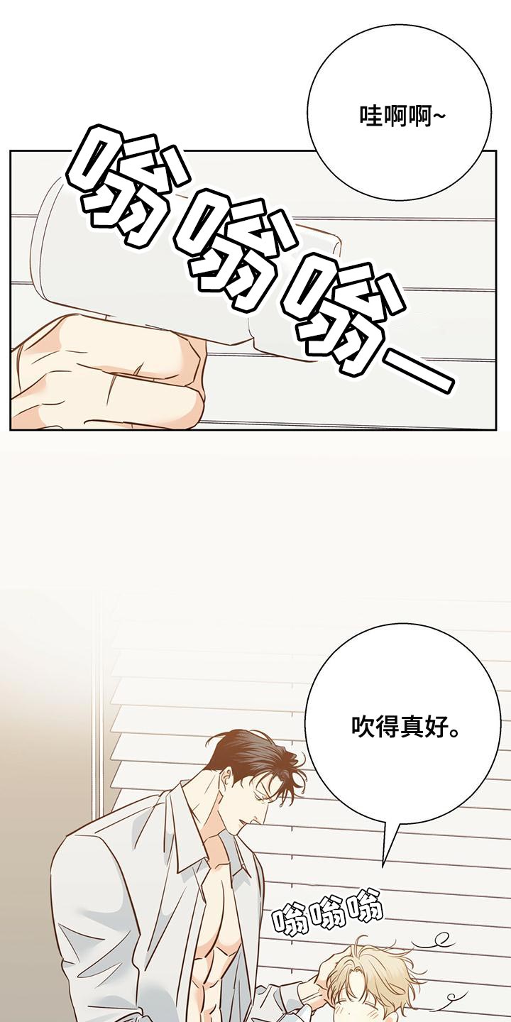 危险便利店漫画免费漫画,第164章：【第三季】唯一的安慰1图
