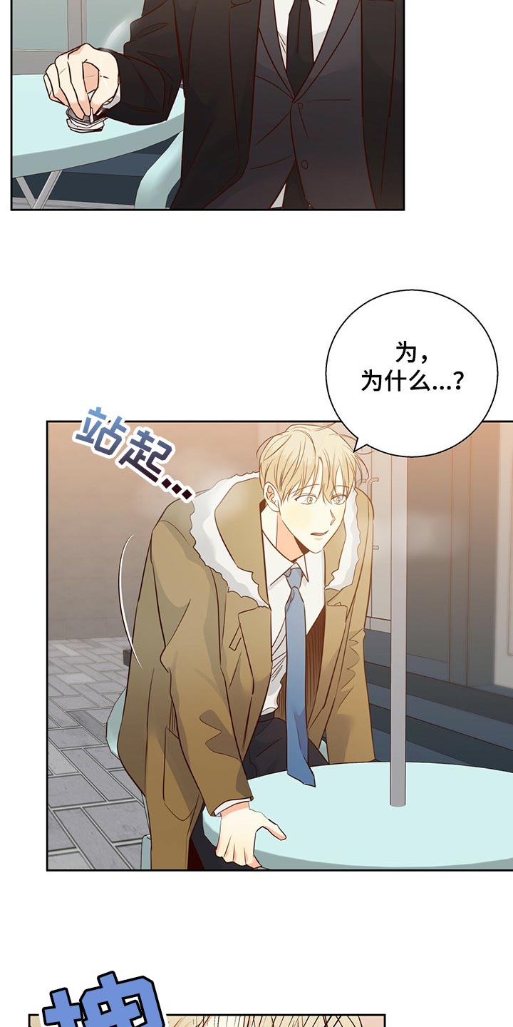 危险便利店漫画免费漫画,第127章：【第三季】到此为止吧5图
