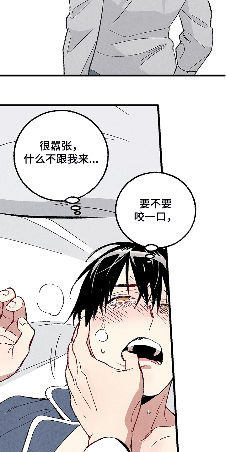 完美伴侣漫画,第84章：【第二季】悄悄的走5图