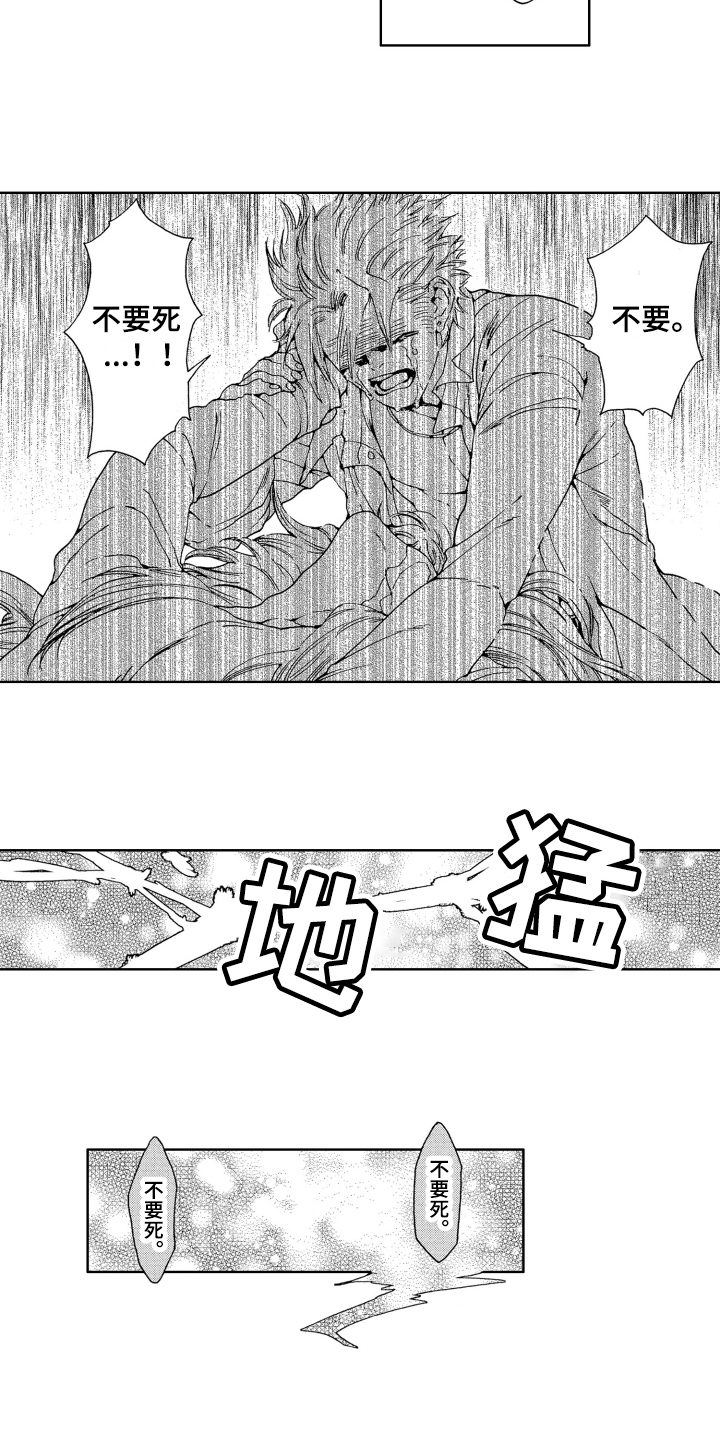 第14章：拯救4