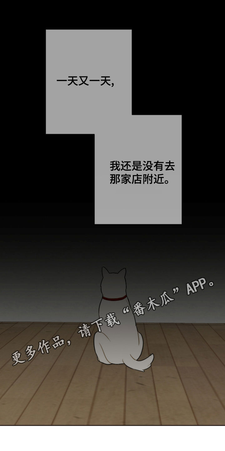 恋爱攻略书籍漫画,第116章：台风1图