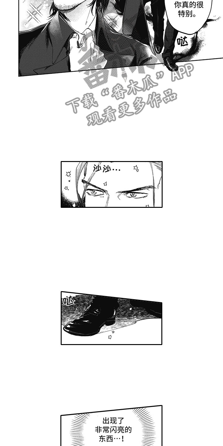 吸血鬼伯爵漫画,第9章：哥哥4图