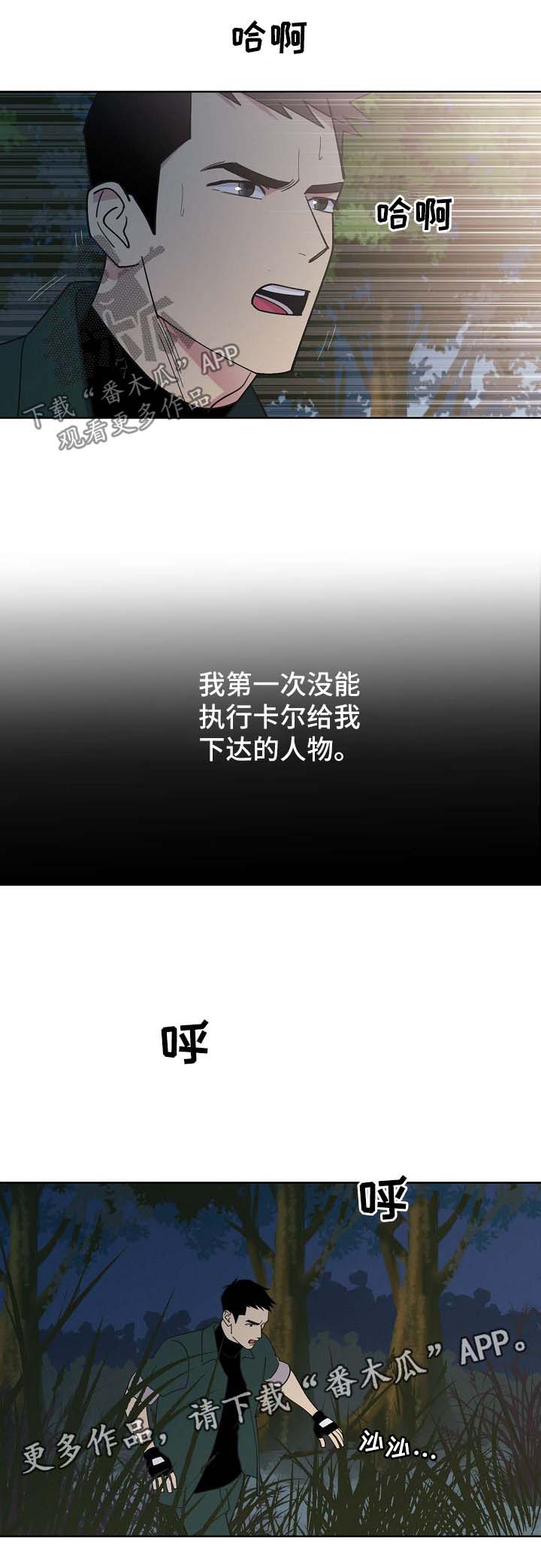 乌克兰保护条约漫画,第70章：【第二季】更深的打击4图