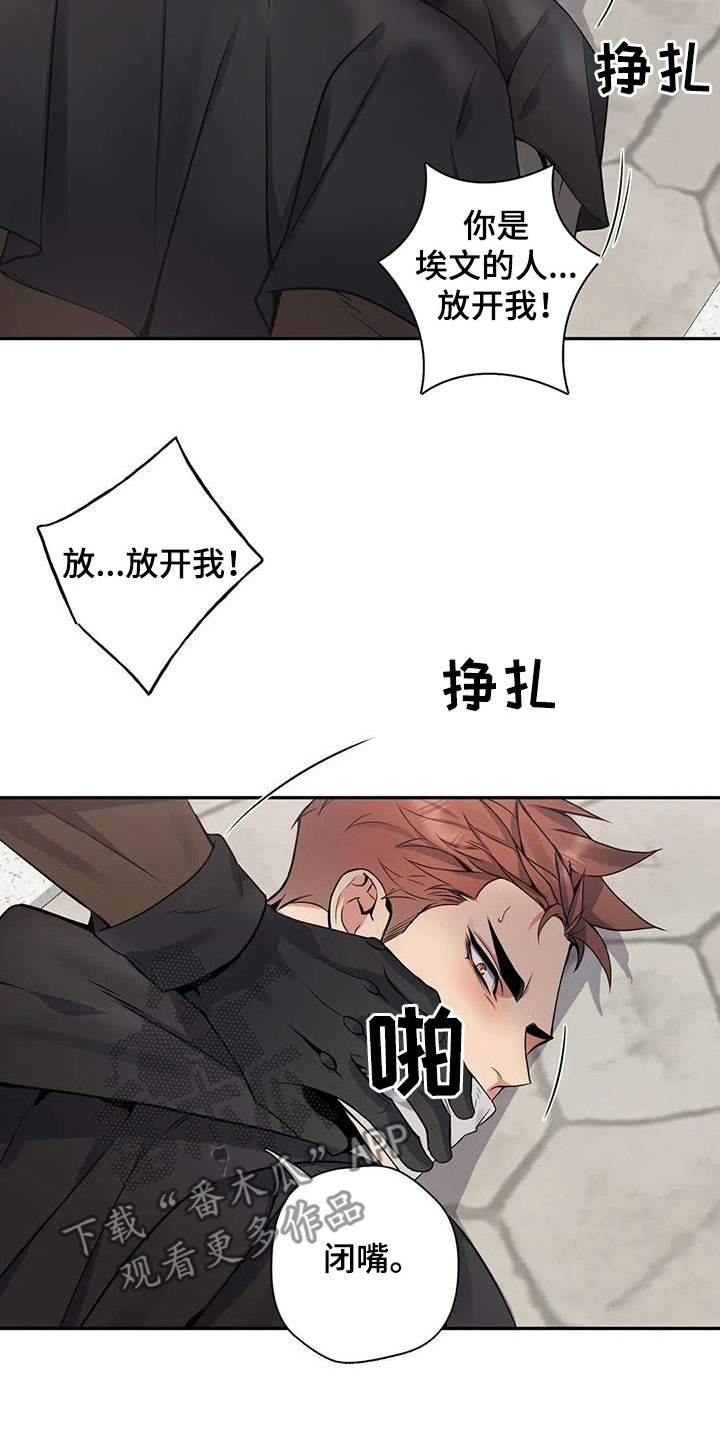 你是主人我是仆人在线免费阅读漫画,第135章：【第二季】举报4图