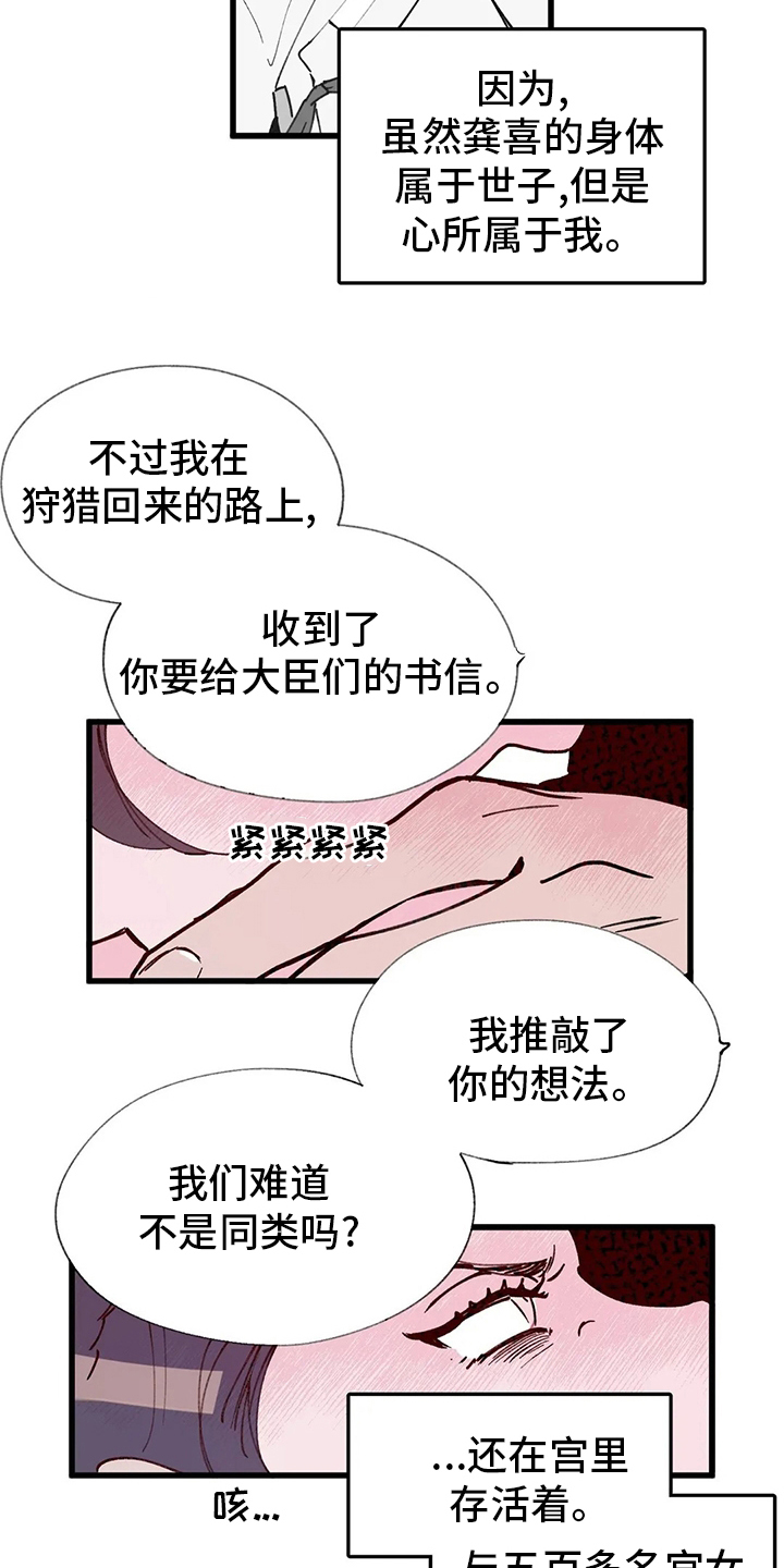 宫廷图片九宫图漫画,第64章：迷宫2图