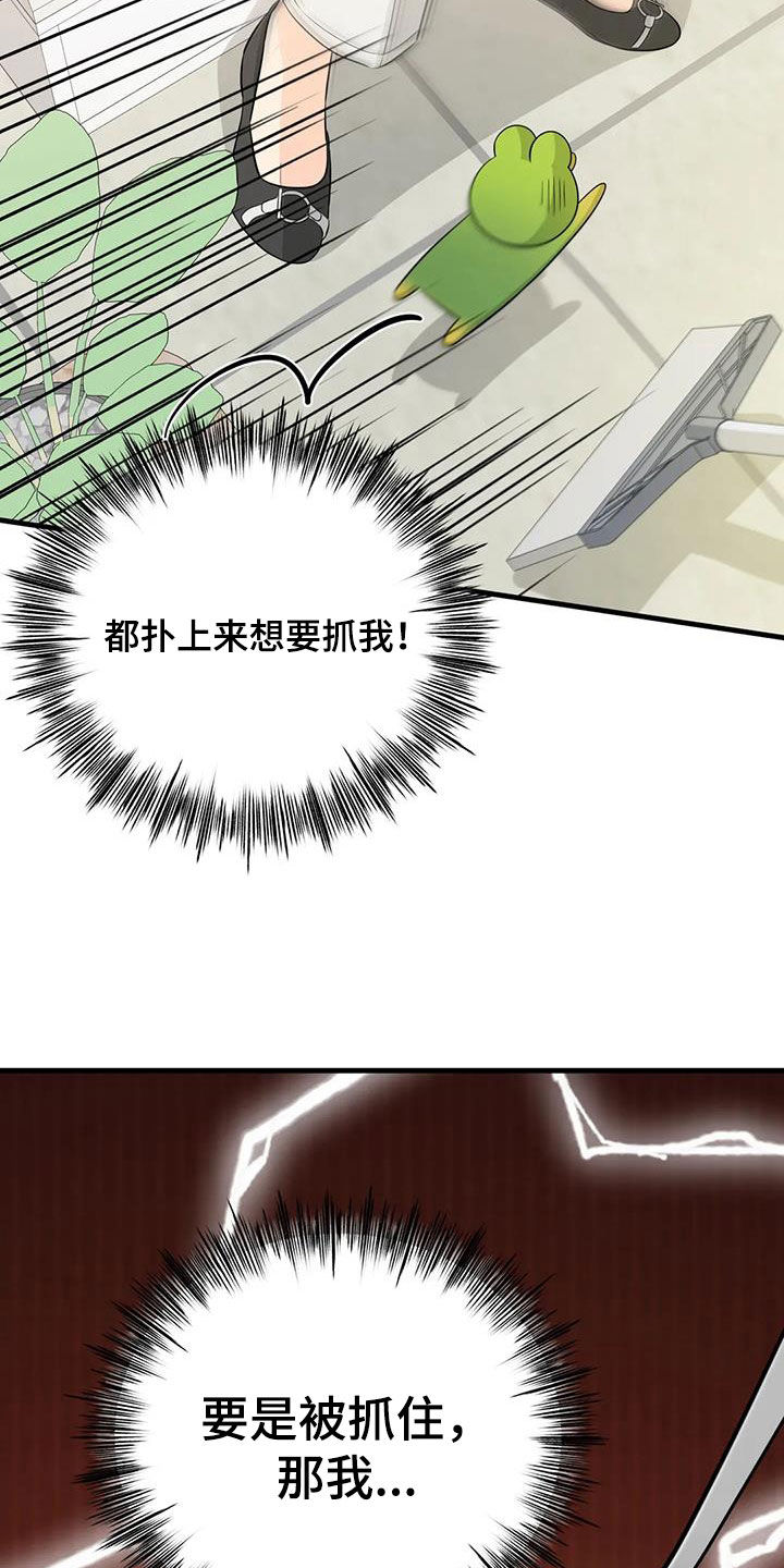 神仙水哪里买漫画,第28章：狡猾的人类4图