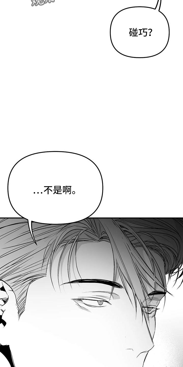 第202章：【第三季】今天不忙4