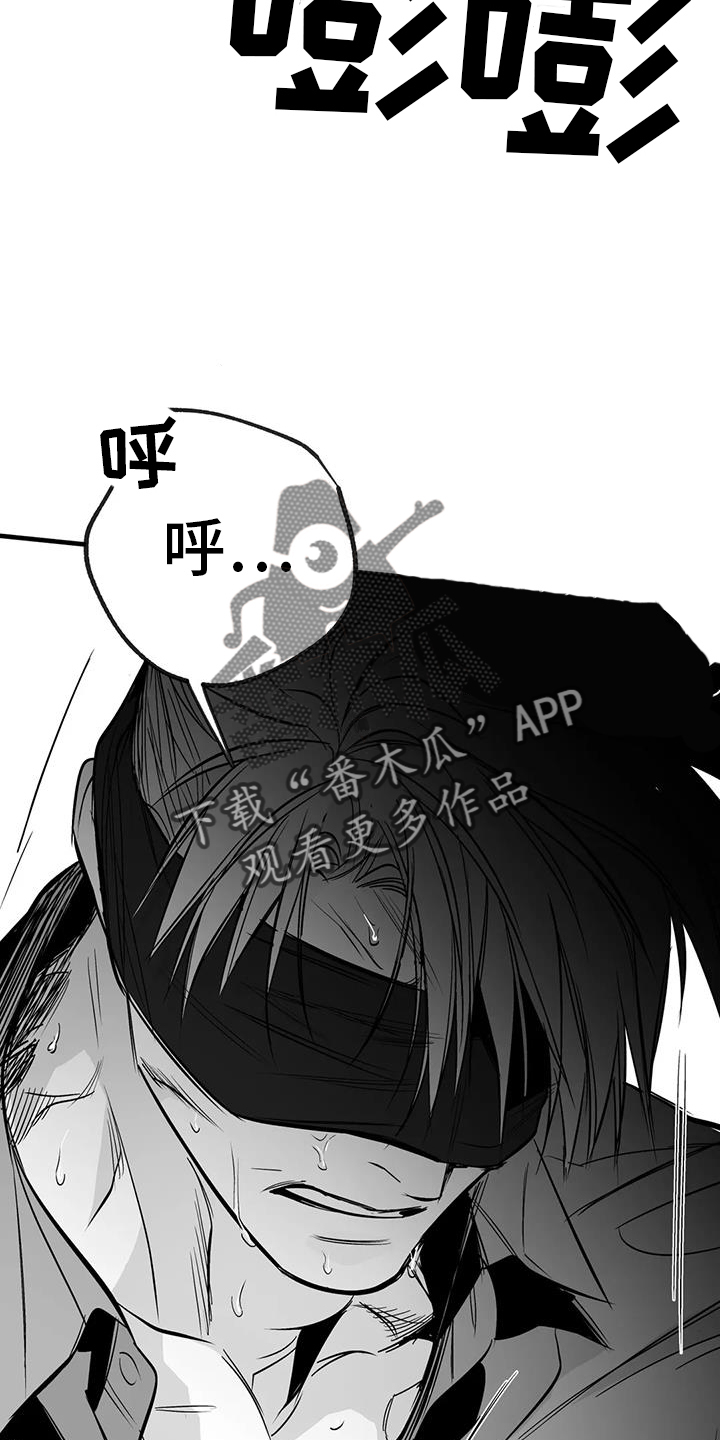 第237章：【第三季】闪耀1
