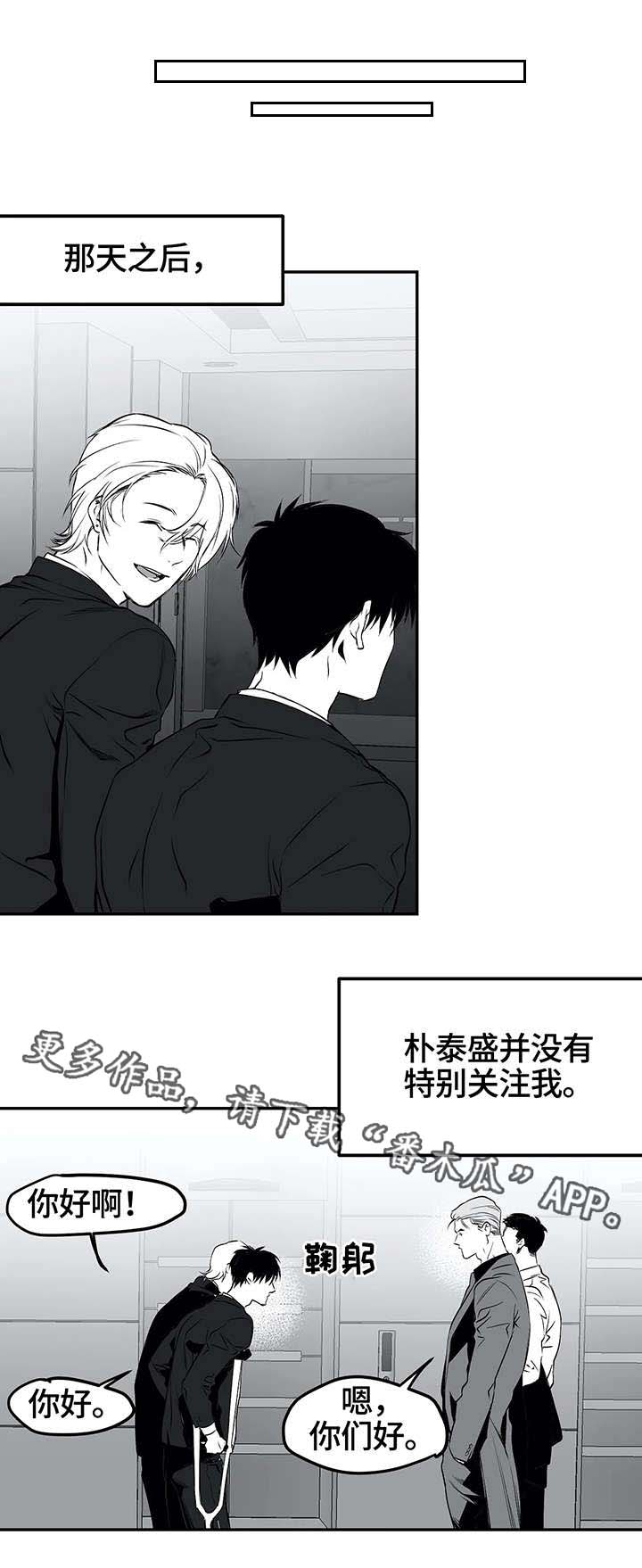 第19章：组织2