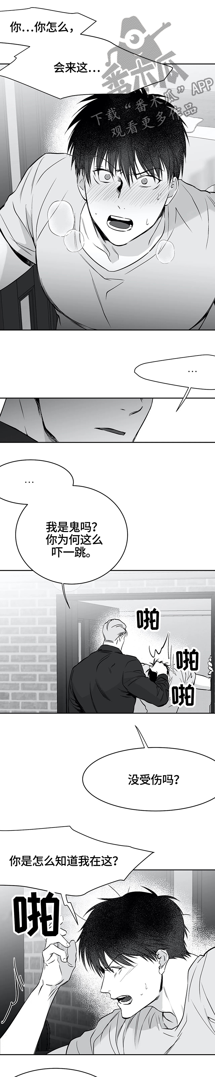 第54章：放心了0