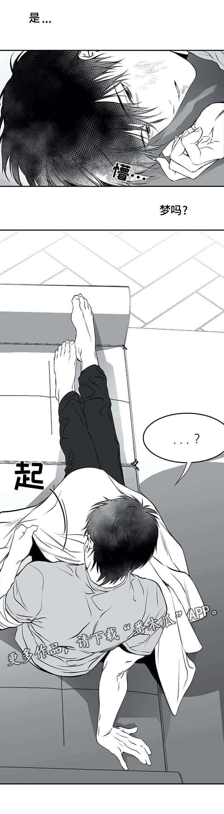 第19章：组织1