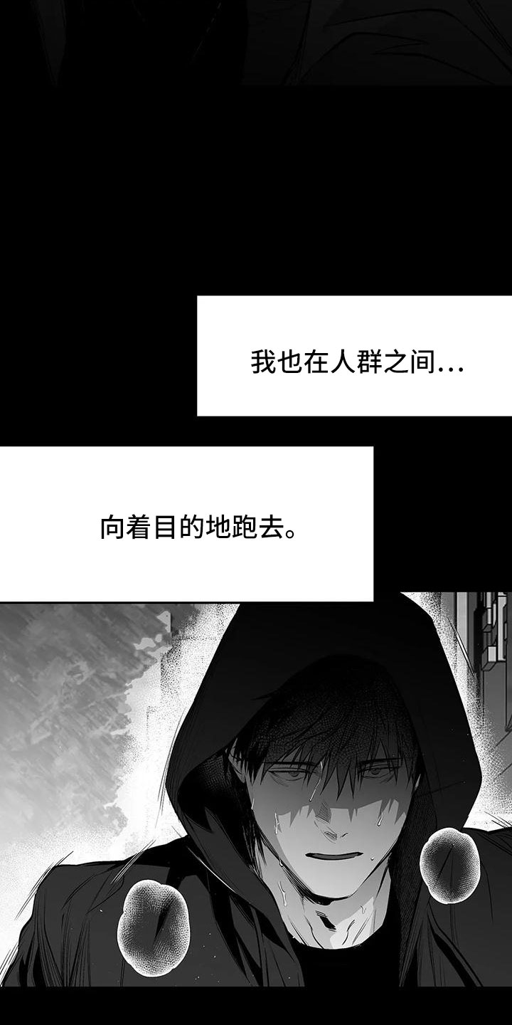 第201章：【第三季】去散步3