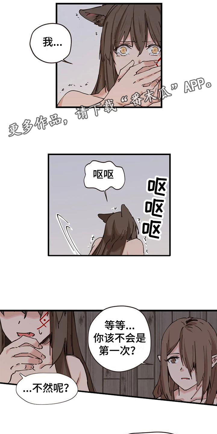 咏叹调菲伯尔漫画,第16章：这是什么1图