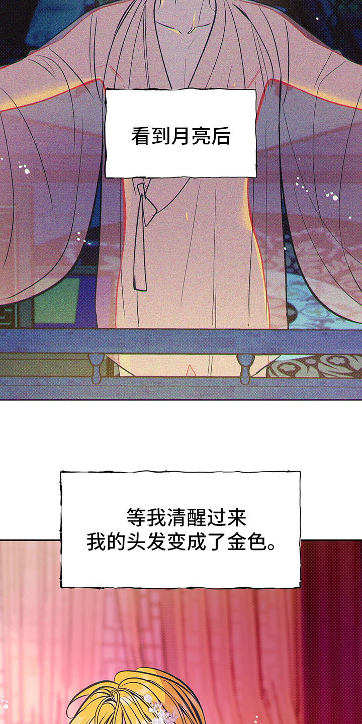第25章：又开始了3