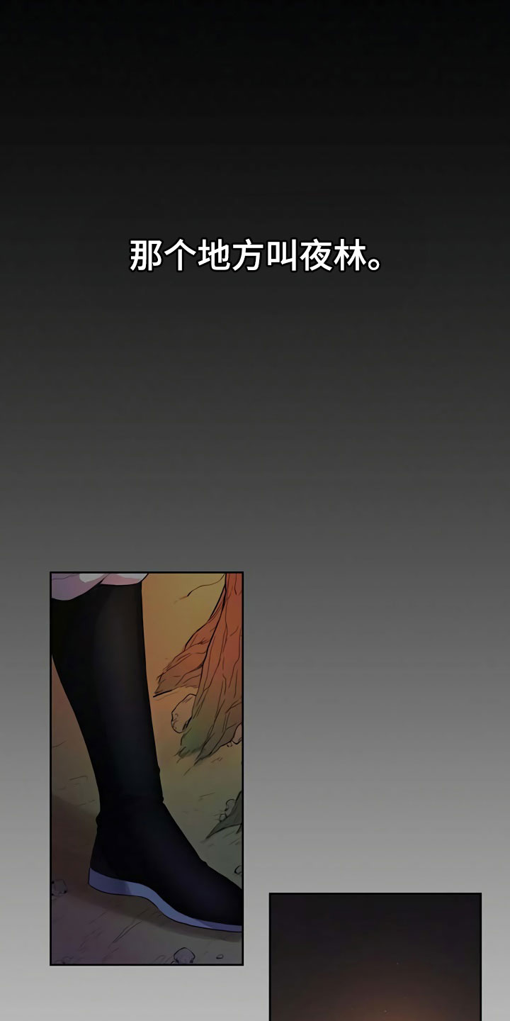 夜林秘史漫画,第1章：夜林1图