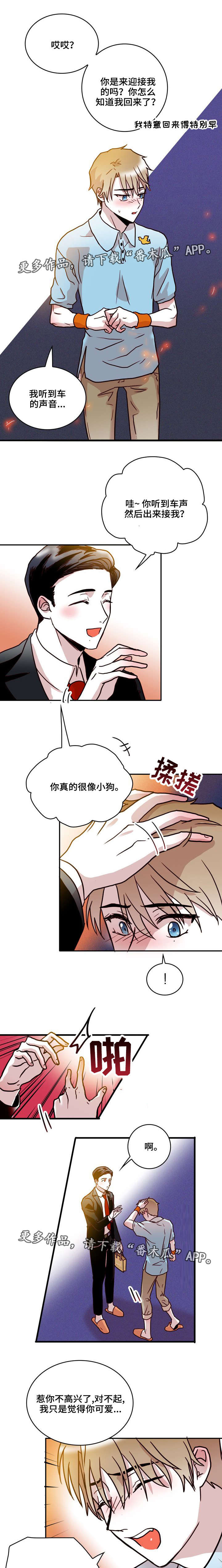 血缘关系的意思是什么漫画,第40章：逃避1图