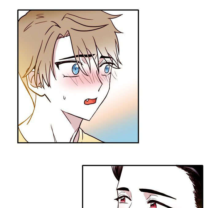 血缘政治漫画,第15章：原谅1图