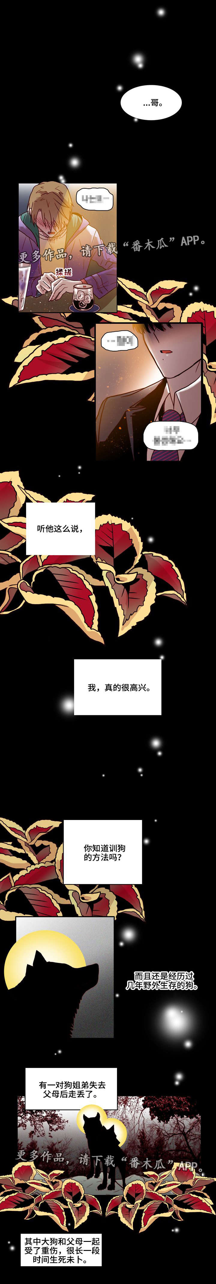 学院给学院贺信范文漫画,第19章：训狗1图