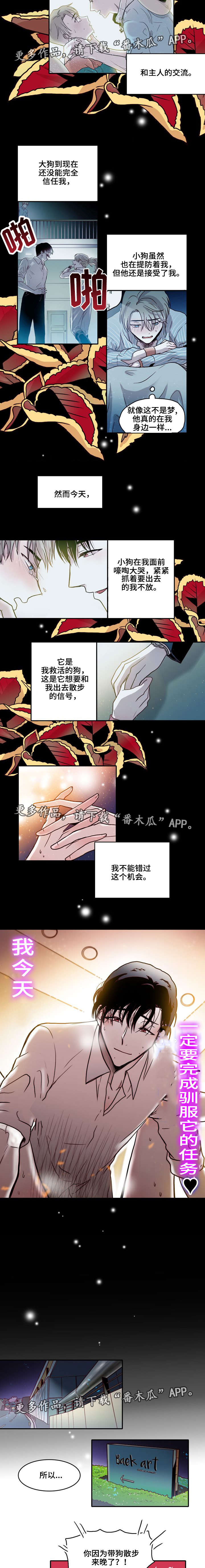 学院给学院贺信范文漫画,第19章：训狗3图