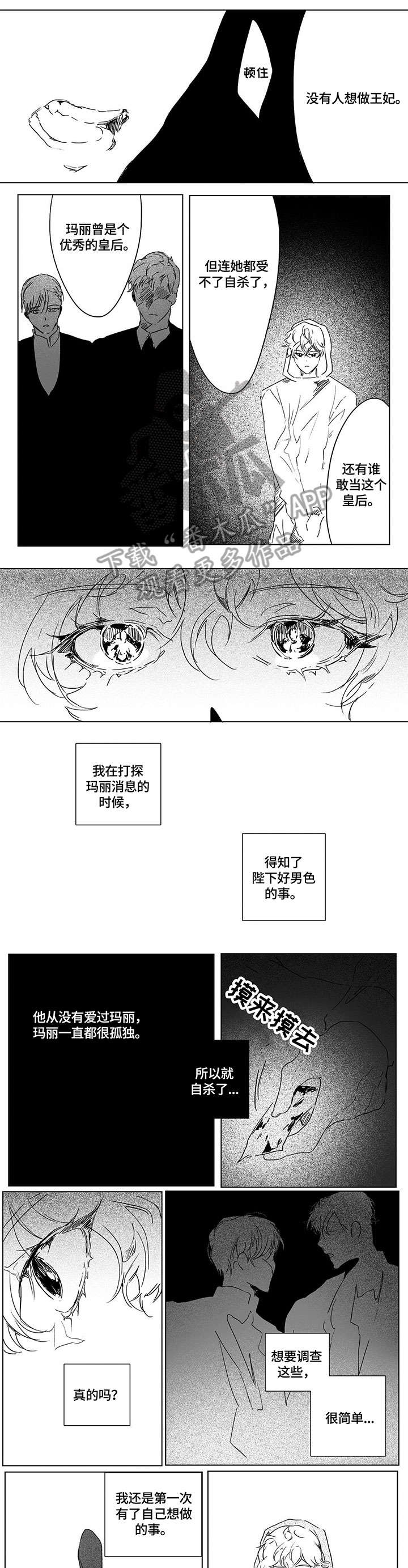 面纱里的影漫画,第7章：只有你5图