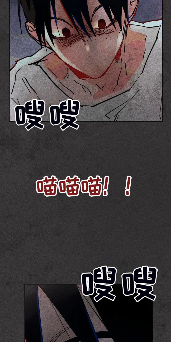 凝视软件漫画,第93章：是达云杀了猫2图