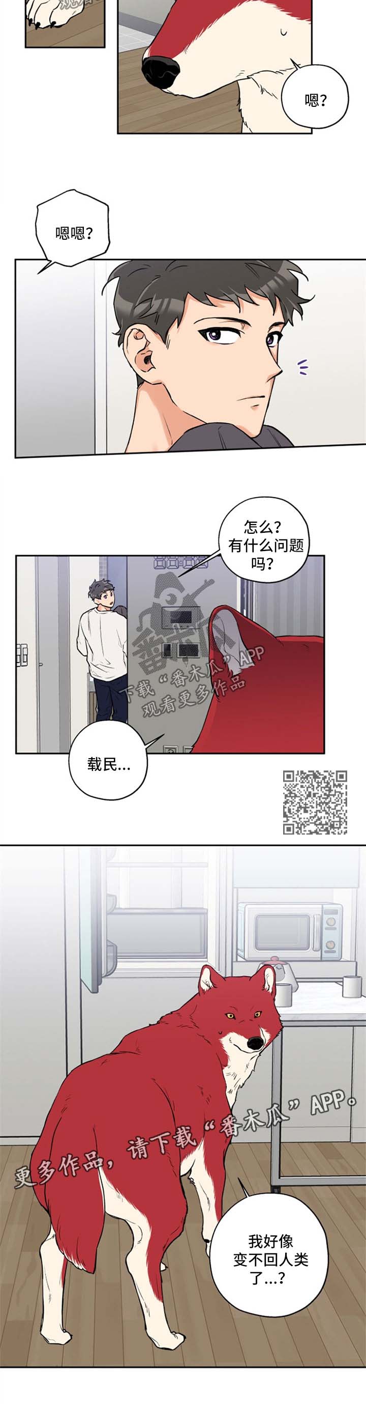 赤狼鱼竿漫画,第33章：变不回人5图